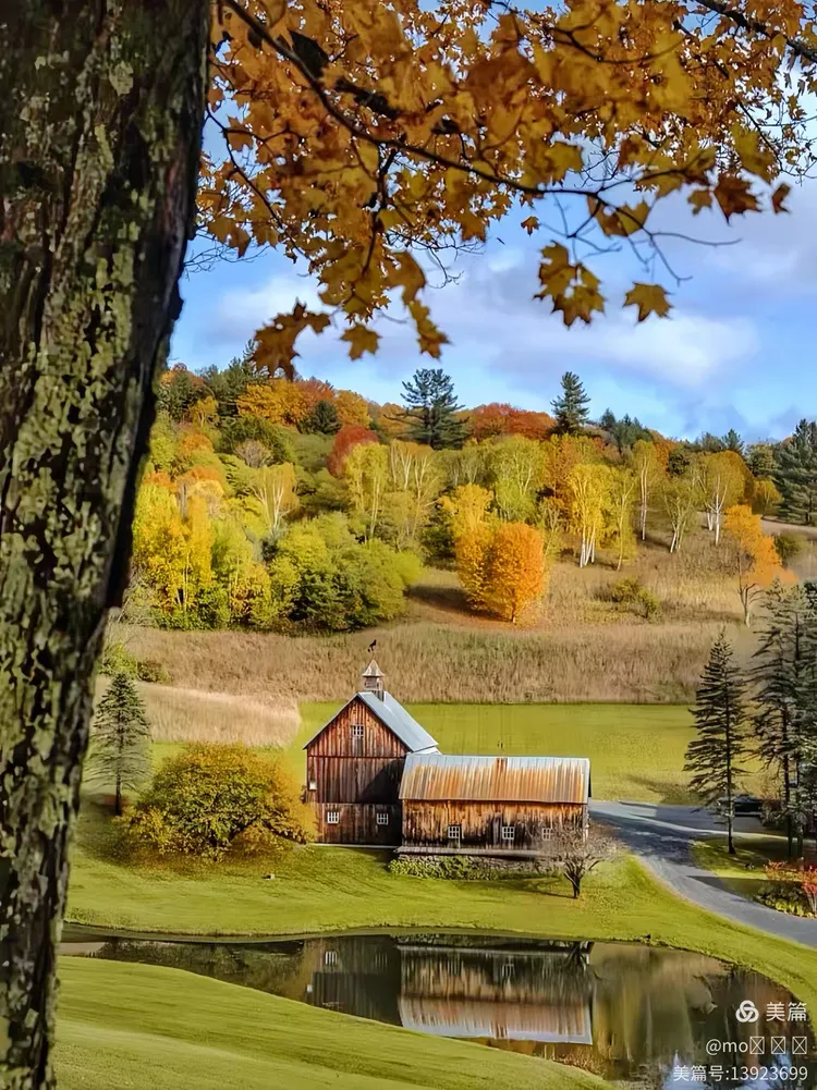 芬兰塔林似明珠,北欧风光映雪湖